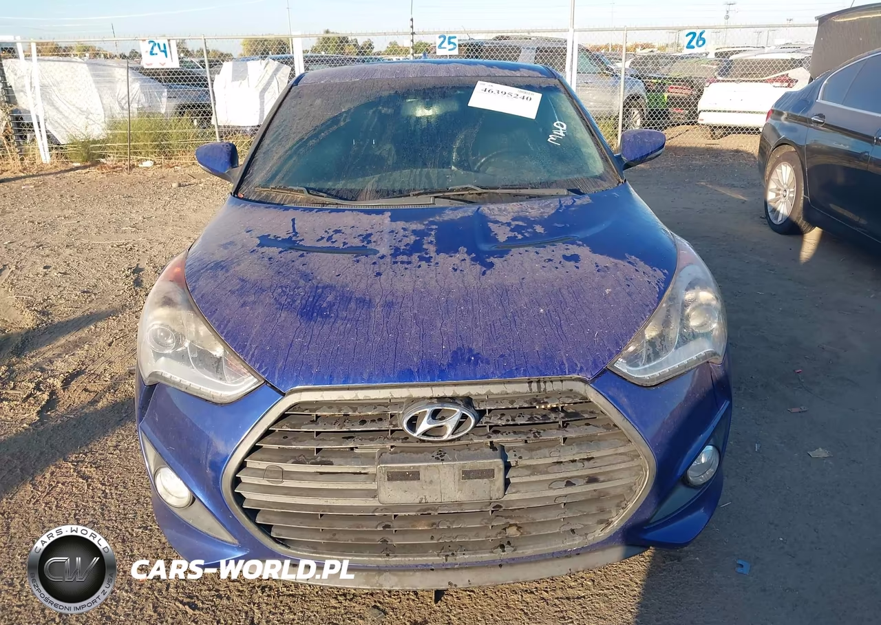 2013 Hyundai Veloster Turbo W-Black VIN:KMHTC6AE1DU158312 - 6