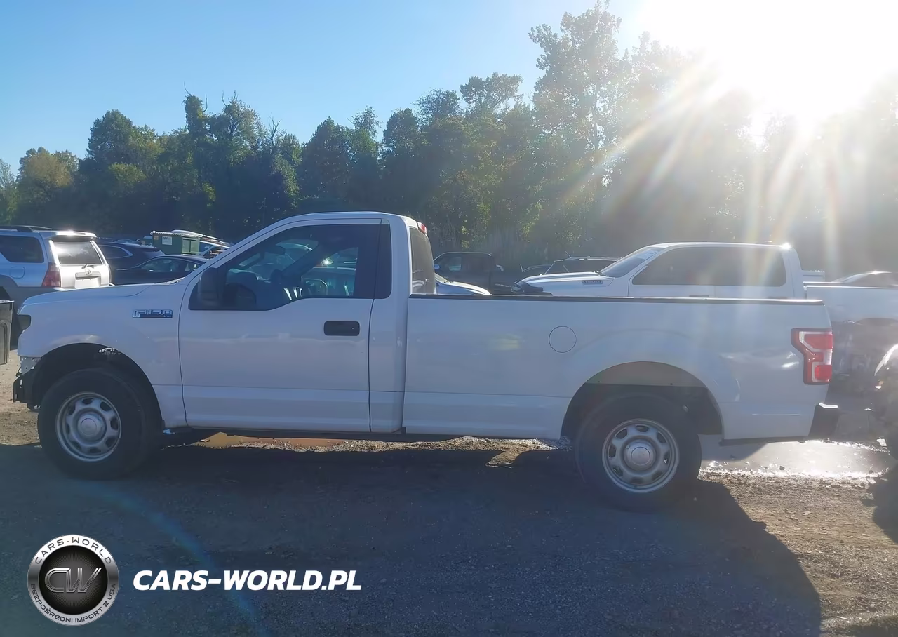 2019 Ford F-150 Xl VIN:1FTMF1CB8KKD87505 - 15