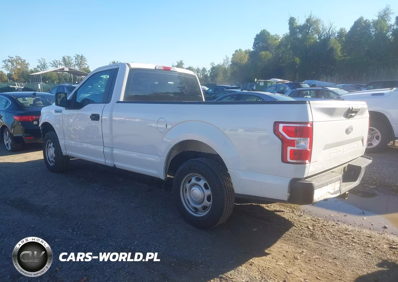 2019 Ford F-150 Xl VIN:1FTMF1CB8KKD87505 - 3