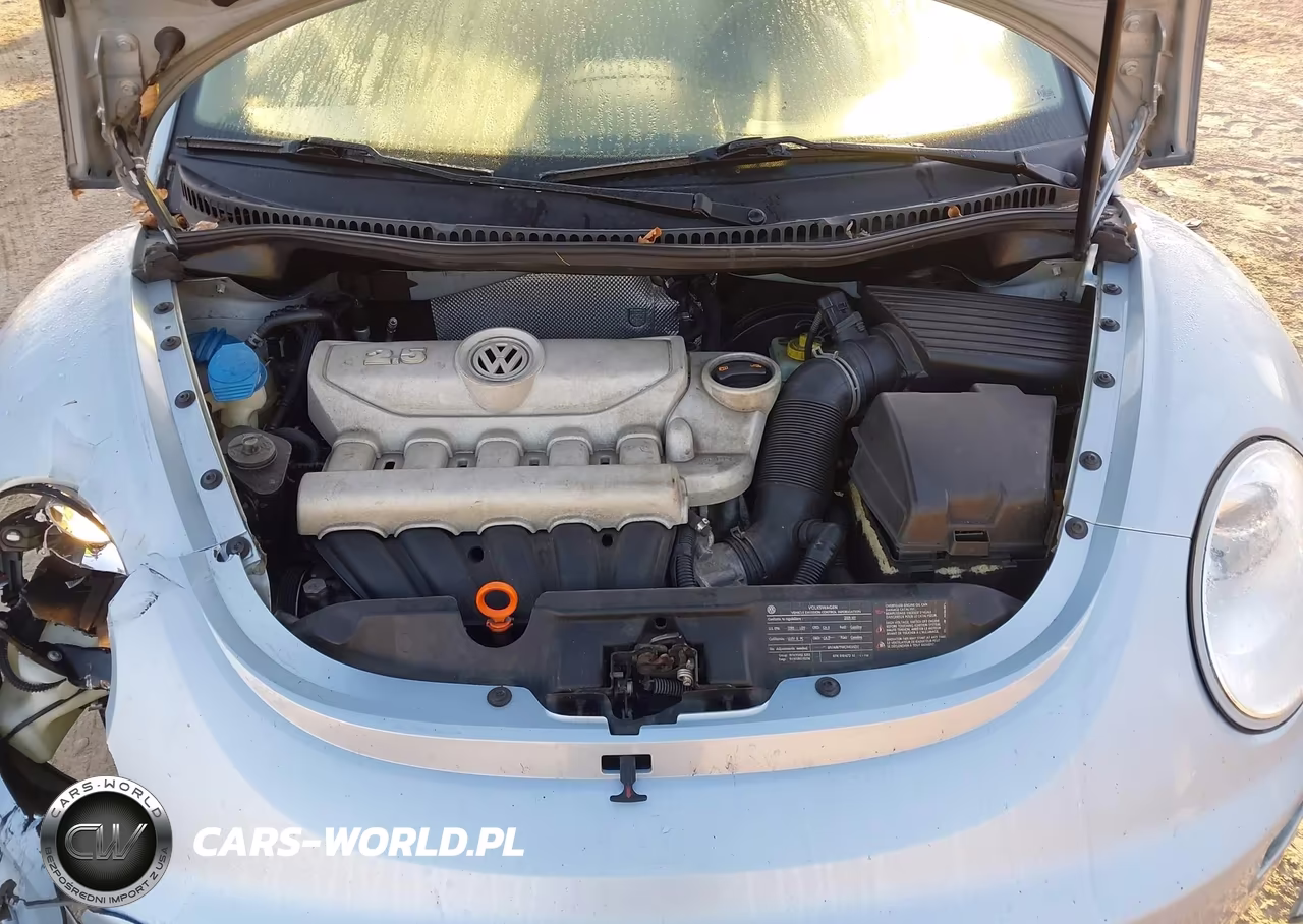 2009 Volkswagen New Beetle 2.5L VIN:3VWPW31C89M510031 - 10