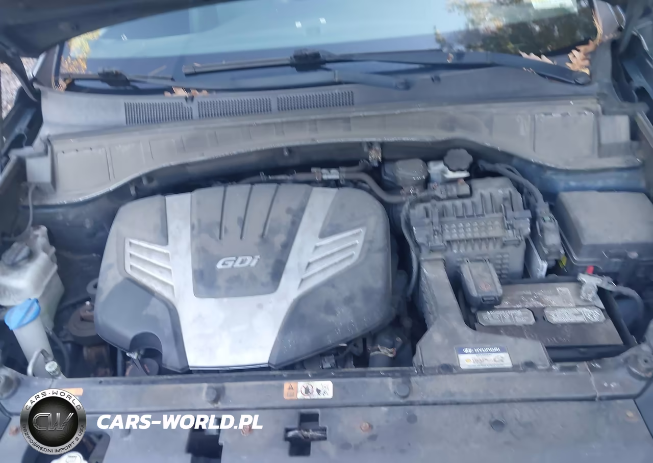 2017 Hyundai Santa Fe Limited Ultimate VIN:KM8SRDHF3HU254901 - 10