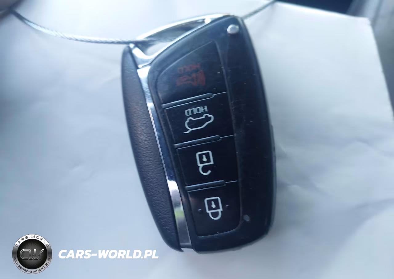 2017 Hyundai Santa Fe Limited Ultimate VIN:KM8SRDHF3HU254901 - 11