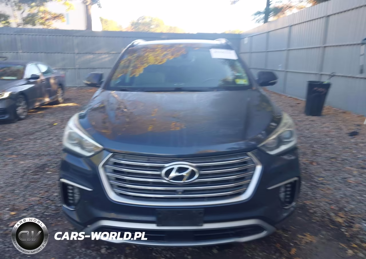 2017 Hyundai Santa Fe Limited Ultimate VIN:KM8SRDHF3HU254901 - 12