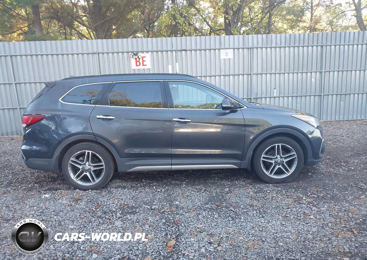 2017 Hyundai Santa Fe Limited Ultimate VIN:KM8SRDHF3HU254901 - 13