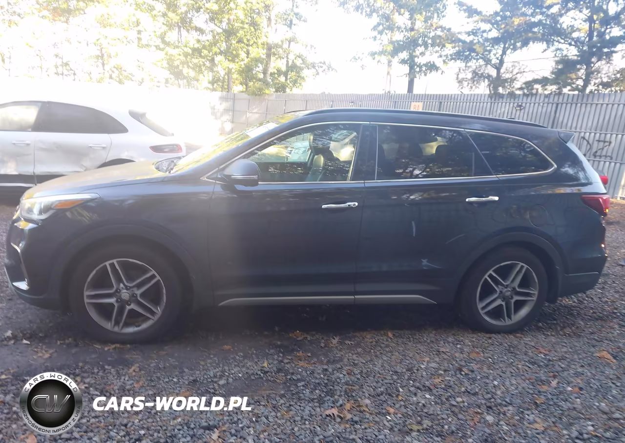 2017 Hyundai Santa Fe Limited Ultimate VIN:KM8SRDHF3HU254901 - 14