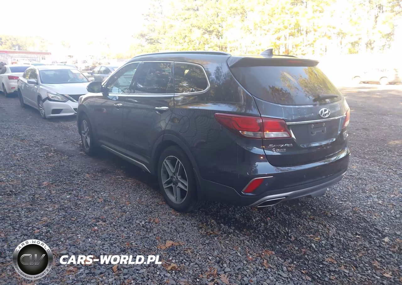 2017 Hyundai Santa Fe Limited Ultimate VIN:KM8SRDHF3HU254901 - 3