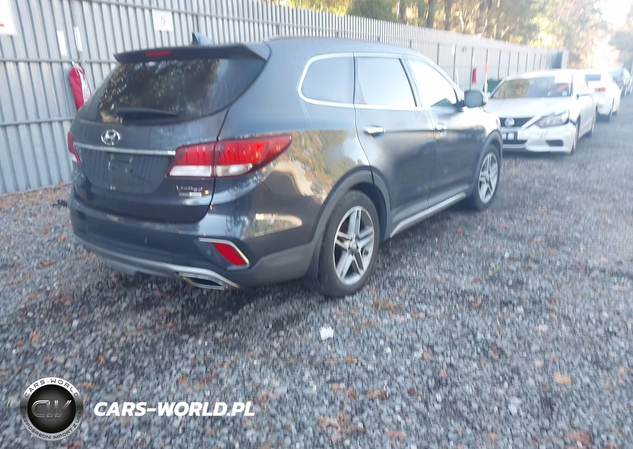 2017 Hyundai Santa Fe Limited Ultimate VIN:KM8SRDHF3HU254901 - 4