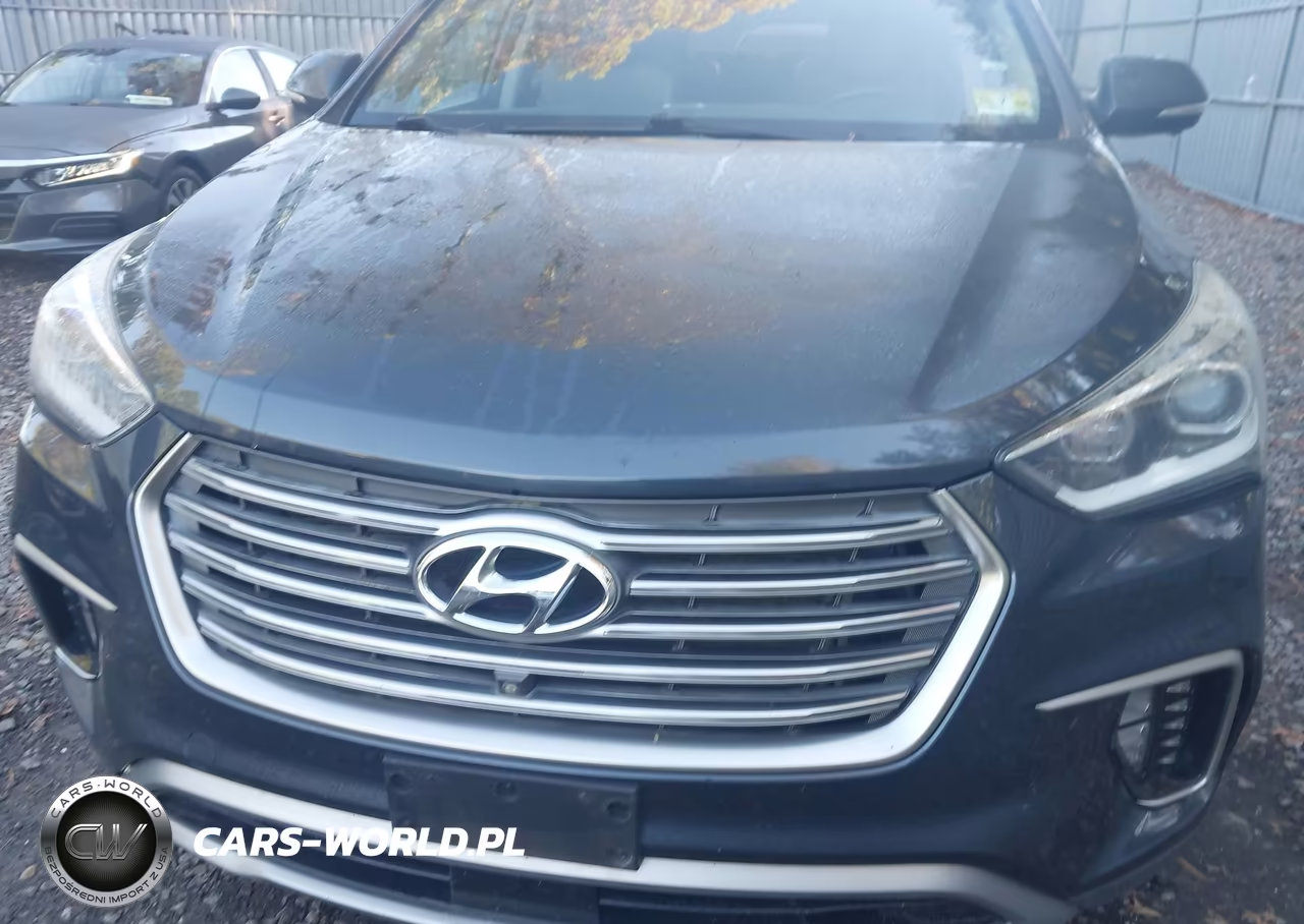 2017 Hyundai Santa Fe Limited Ultimate VIN:KM8SRDHF3HU254901 - 6