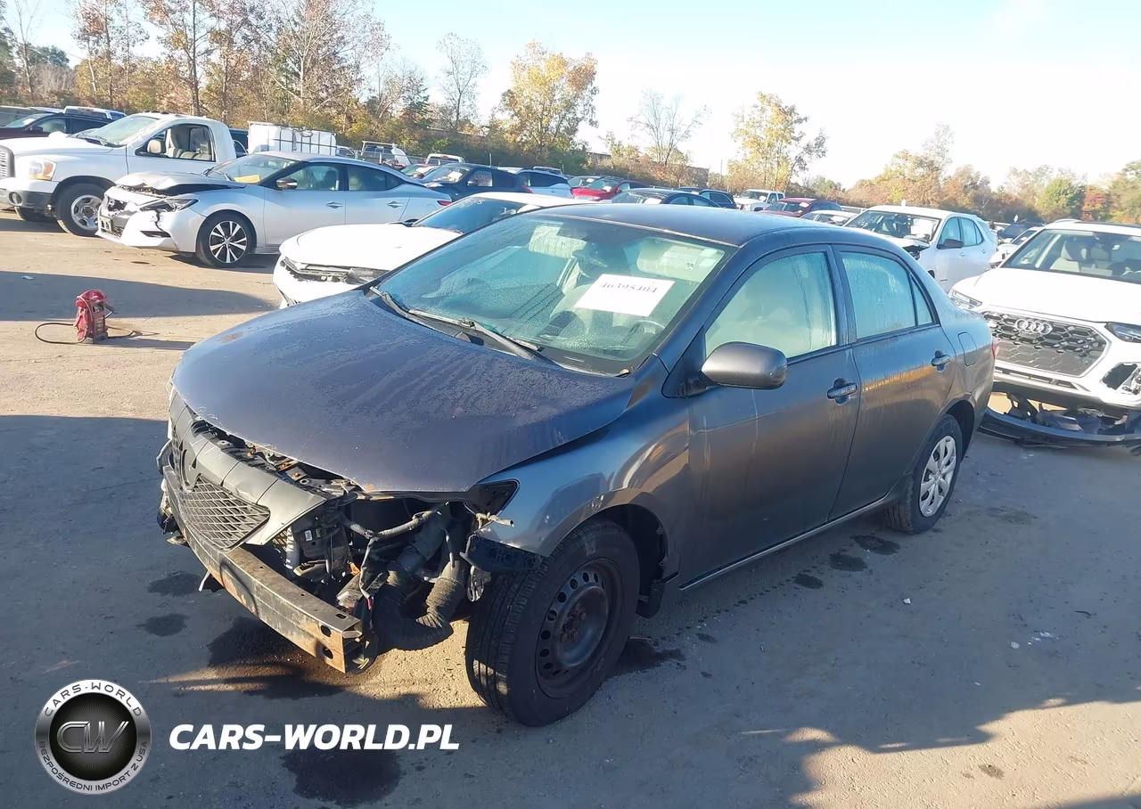 2010 Toyota Corolla Le VIN:2T1BU4EE6AC244624 - 2