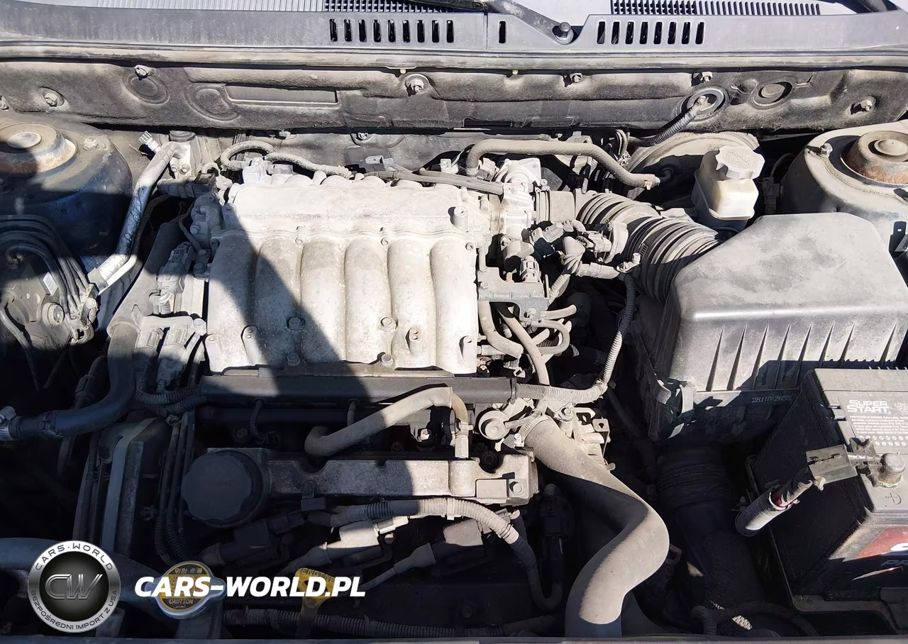 2005 Hyundai Santa Fe Gls-Lx VIN:KM8SC13E85U882205 - 10