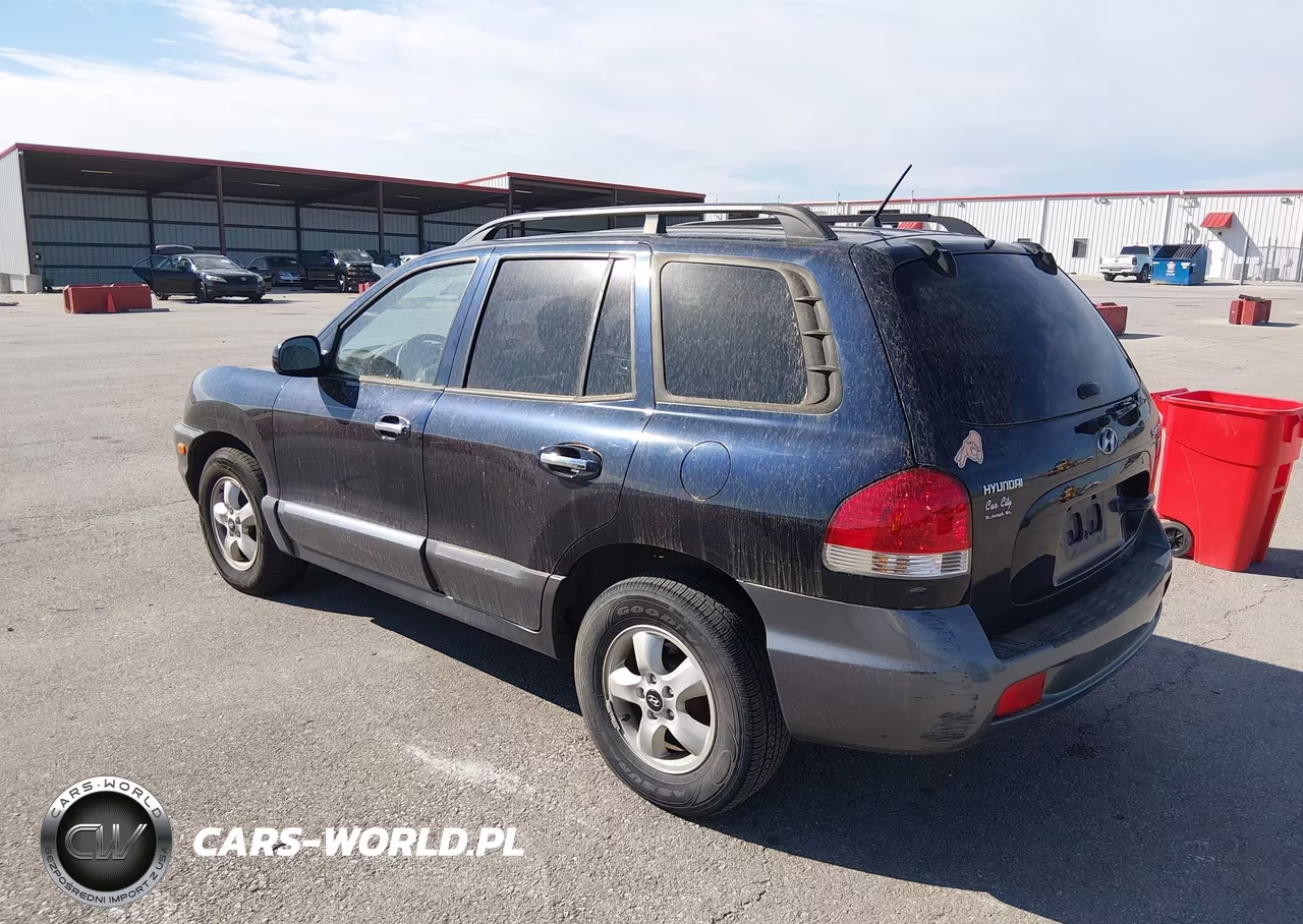 2005 Hyundai Santa Fe Gls-Lx VIN:KM8SC13E85U882205 - 3