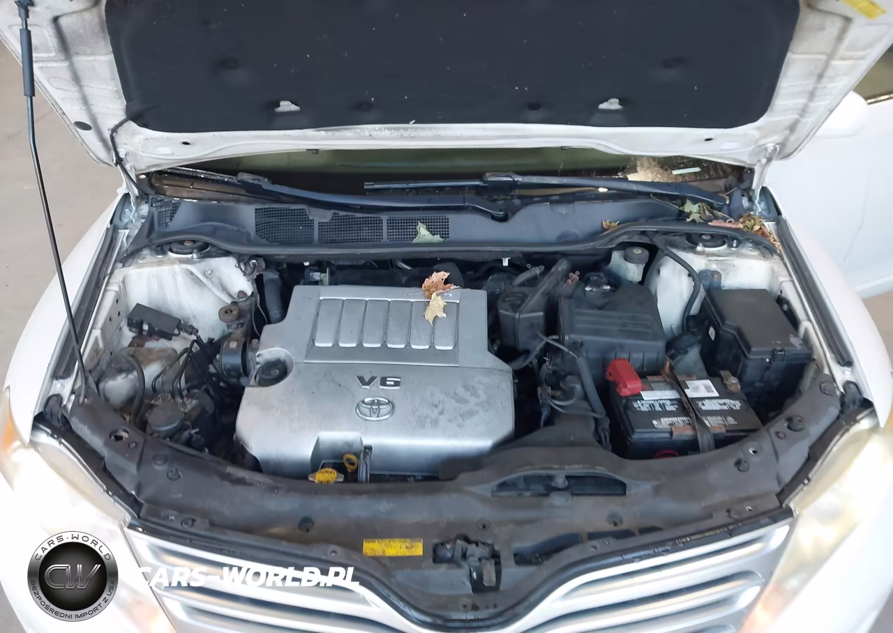 2009 Toyota Venza Base V6 VIN:4T3BK11A29U015429 - 10