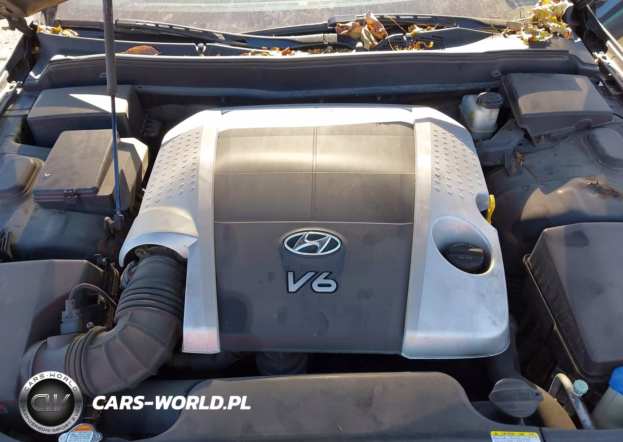 2010 Hyundai Genesis 3.8 VIN:KMHGC4DE3AU090463 - 10