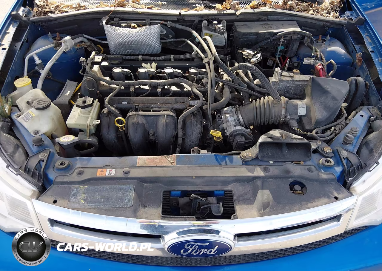 2010 Ford Focus S VIN:1FAHP3EN4AW280112 - 10