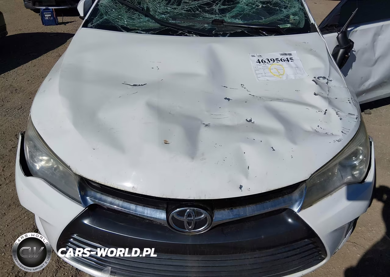 2016 Toyota Camry Le VIN:4T1BF1FK2GU568755 - 10