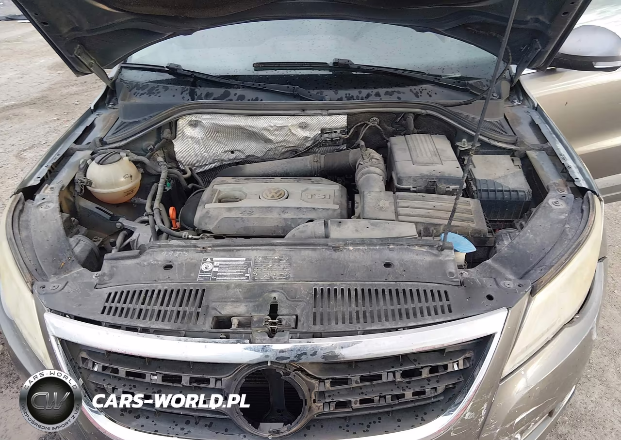 2009 Volkswagen Tiguan S-Se-Sel VIN:WVGAV75NX9W510333 - 10