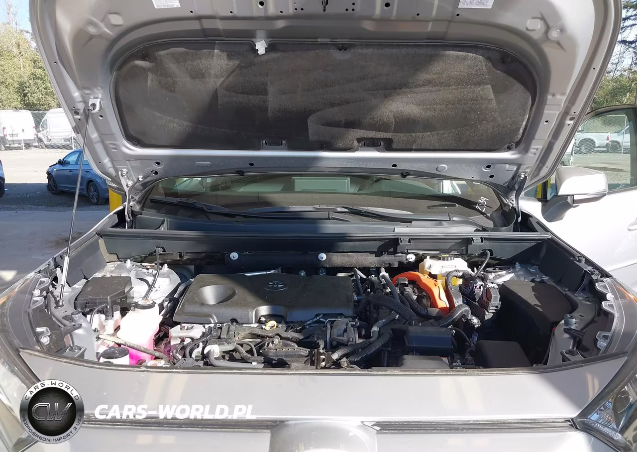 2019 Toyota Rav4 Hybrid Le VIN:2T3MWRFV2KW032339 - 10