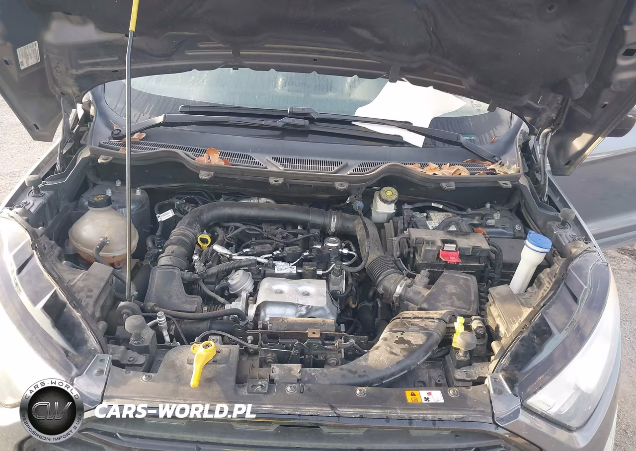 2018 Ford Ecosport S VIN:MAJ3P1RE5JC160958 - 10