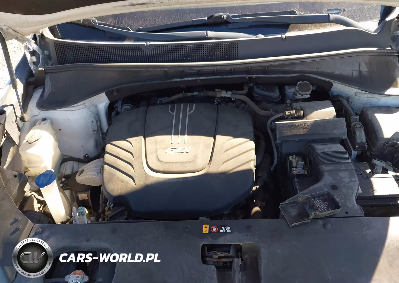 2017 Kia Sorento 3.3L Lx VIN:5XYPG4A56HG291864 - 10