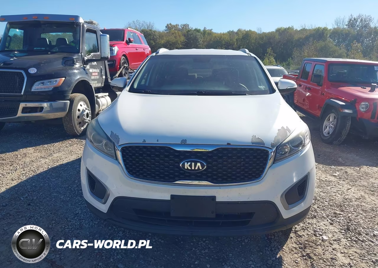 2017 Kia Sorento 3.3L Lx VIN:5XYPG4A56HG291864 - 12