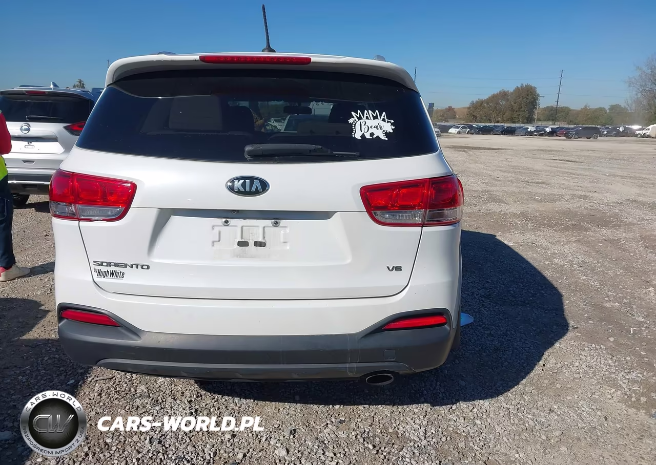 2017 Kia Sorento 3.3L Lx VIN:5XYPG4A56HG291864 - 16