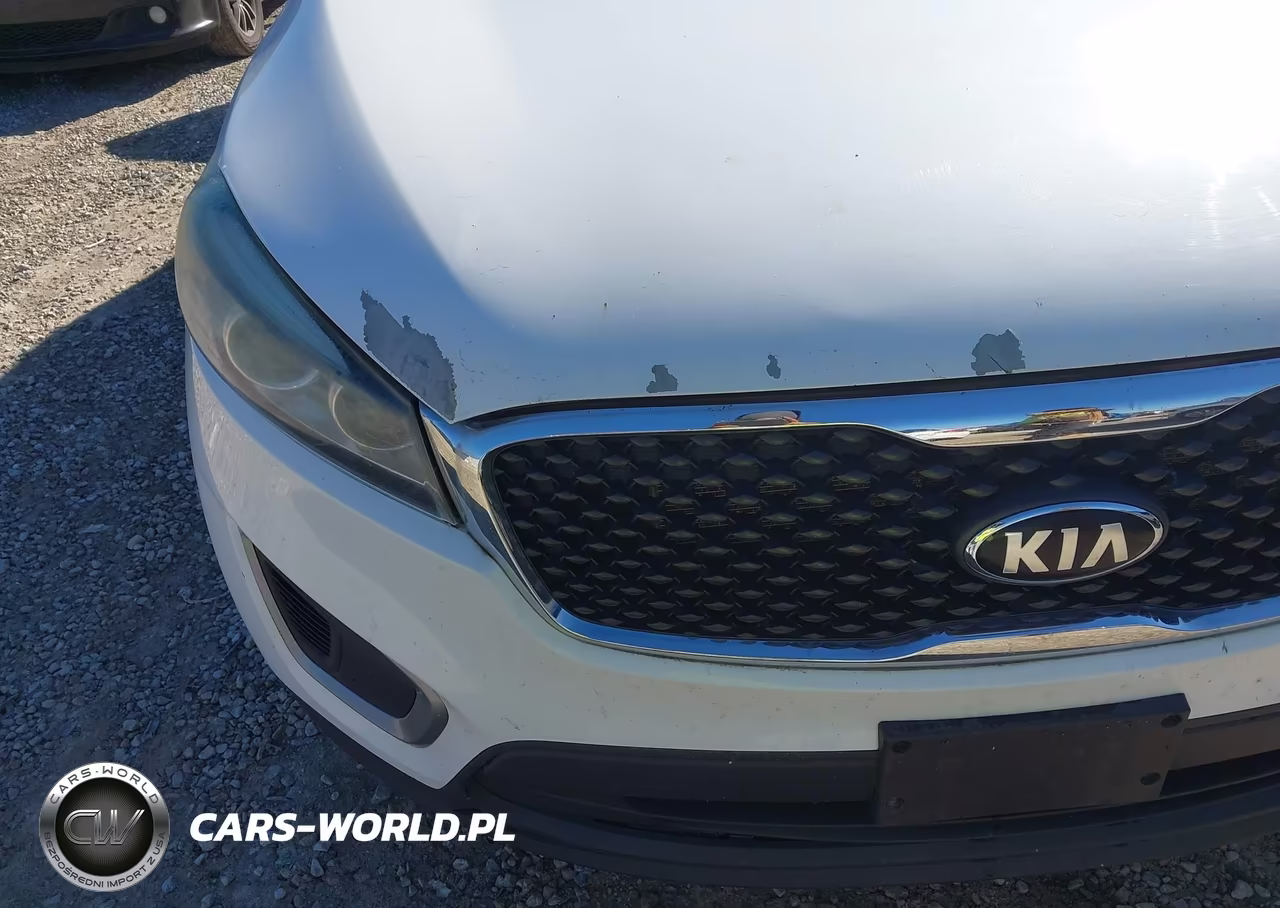 2017 Kia Sorento 3.3L Lx VIN:5XYPG4A56HG291864 - 17