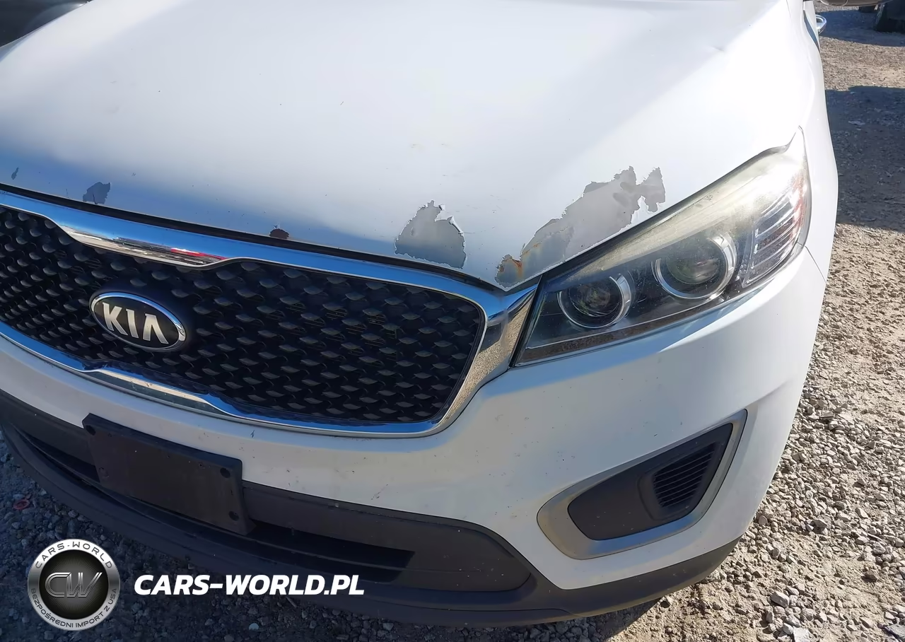 2017 Kia Sorento 3.3L Lx VIN:5XYPG4A56HG291864 - 6
