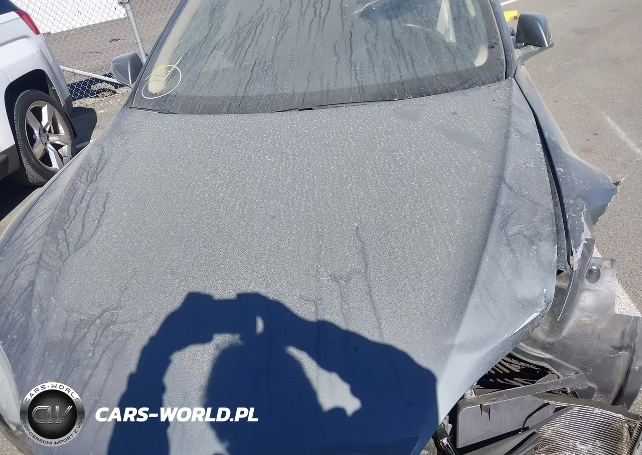 2013 Tesla Model S VIN:5YJSA1DNXDFP06742 - 10