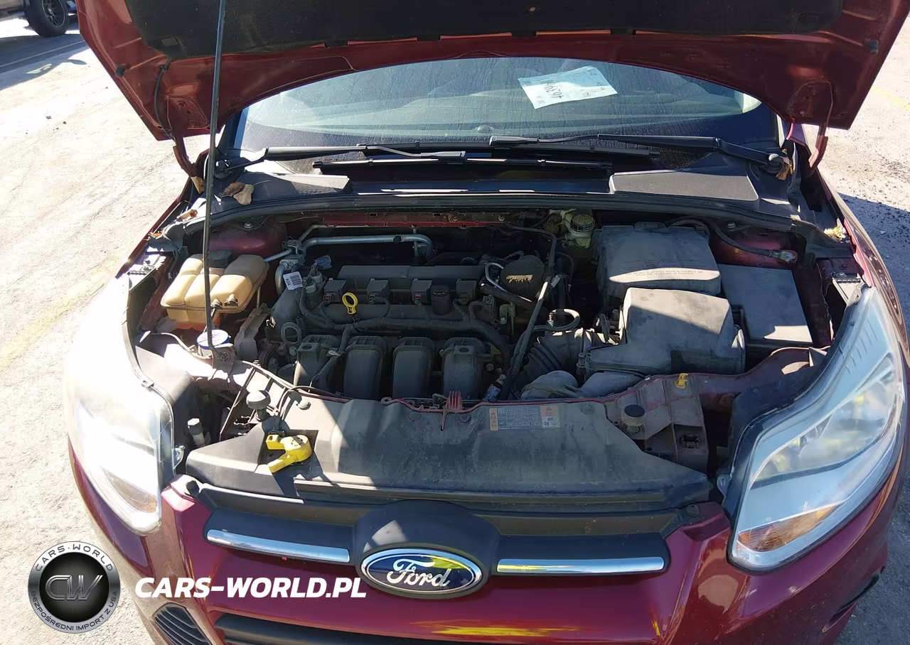 2014 Ford Focus Se VIN:1FADP3F25EL437639 - 10