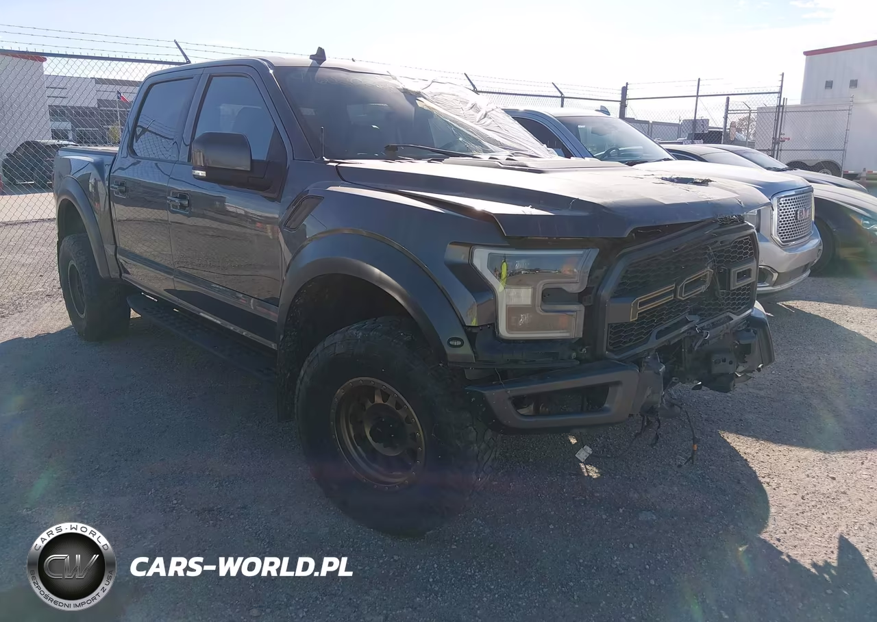 2019 Ford F-150 Raptor – zdjęcie 1 z 16