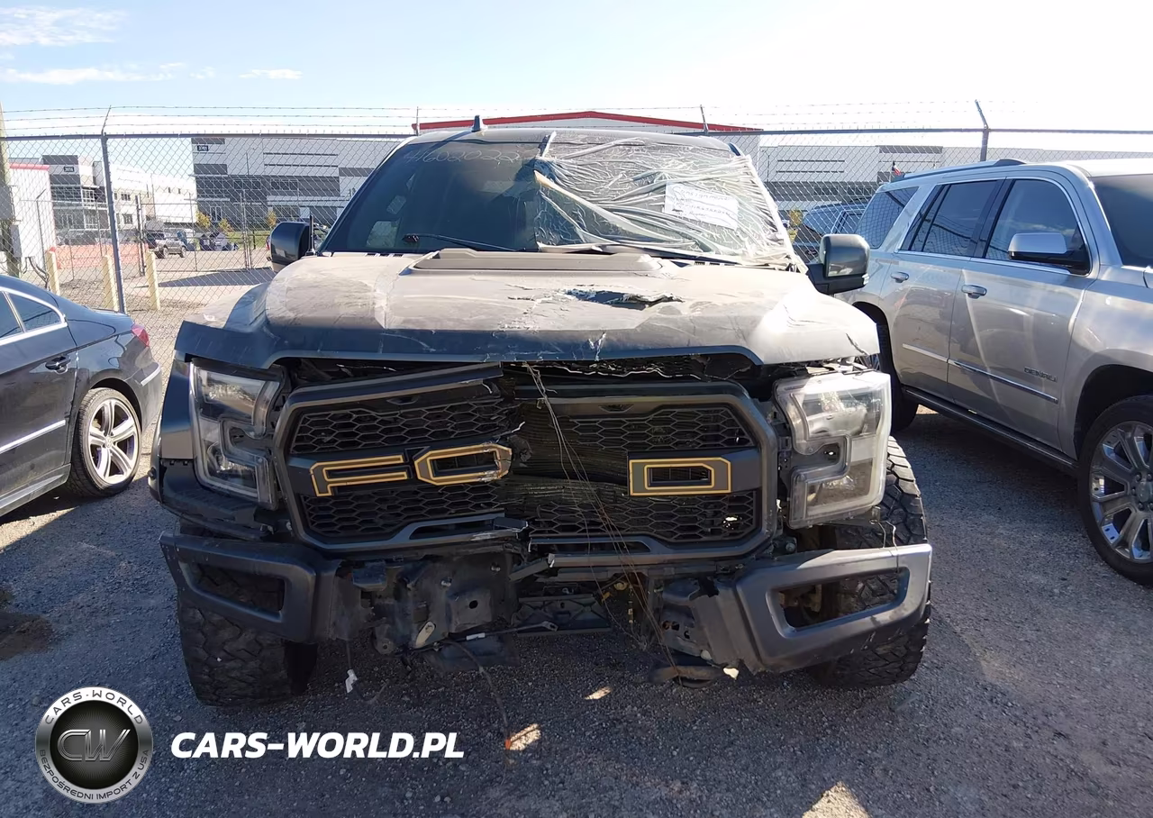 2019 Ford F-150 Raptor VIN:1FTFW1RG9KFB45830 - 12
