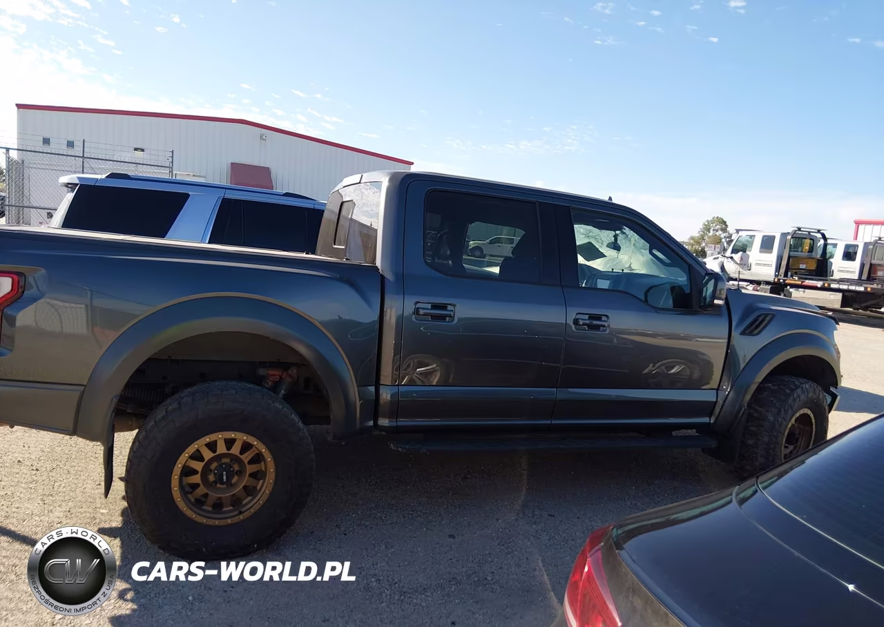 2019 Ford F-150 Raptor VIN:1FTFW1RG9KFB45830 - 13