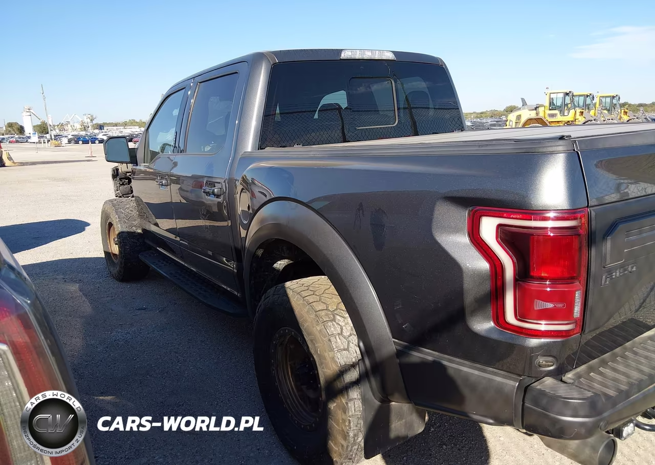 2019 Ford F-150 Raptor VIN:1FTFW1RG9KFB45830 - 14