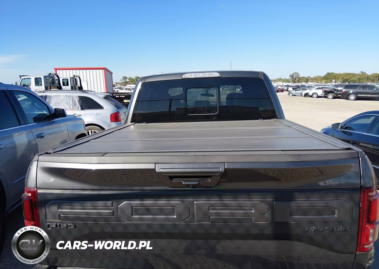 2019 Ford F-150 Raptor VIN:1FTFW1RG9KFB45830 - 16