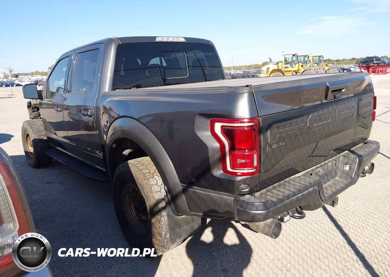 2019 Ford F-150 Raptor VIN:1FTFW1RG9KFB45830 - 3