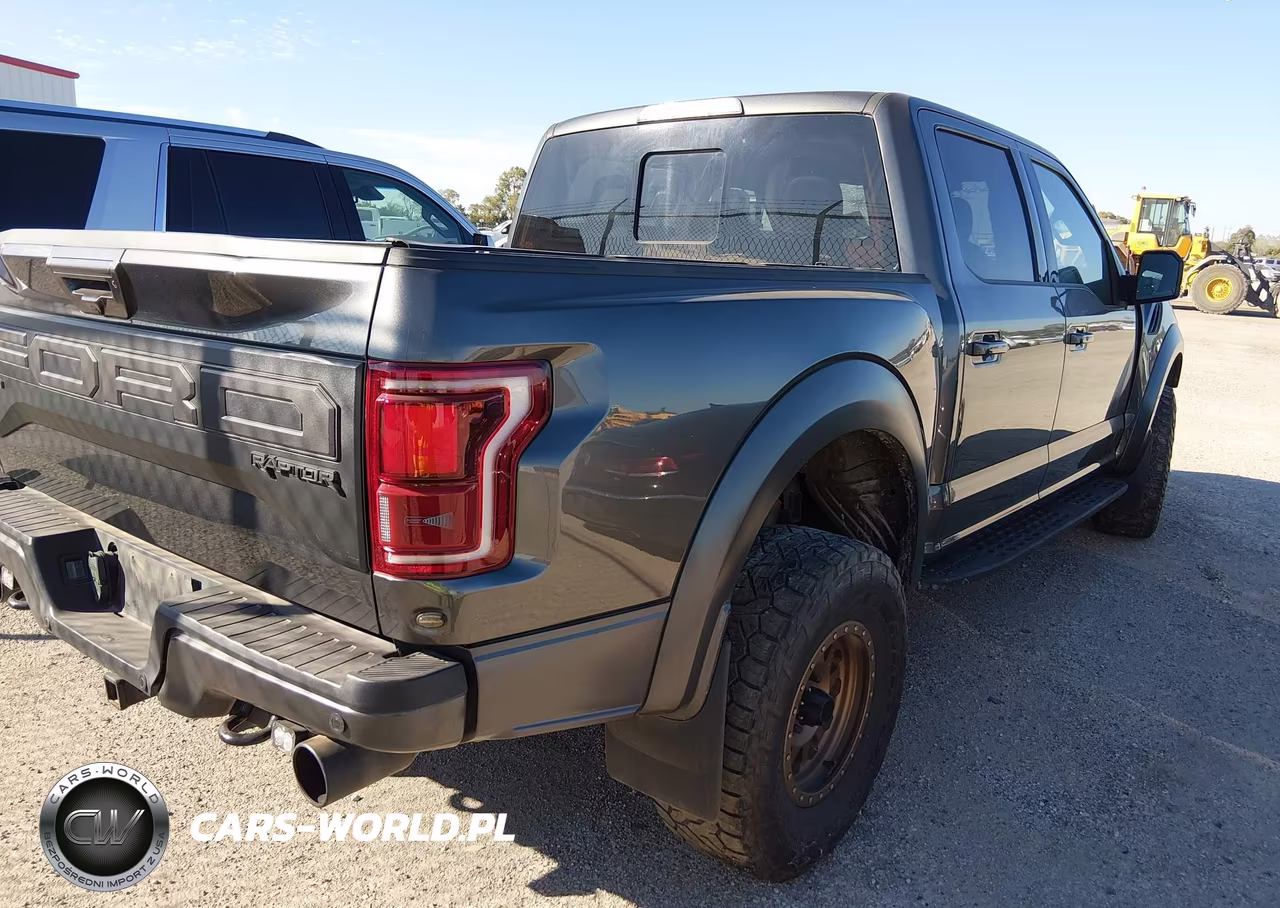 2019 Ford F-150 Raptor VIN:1FTFW1RG9KFB45830 - 4