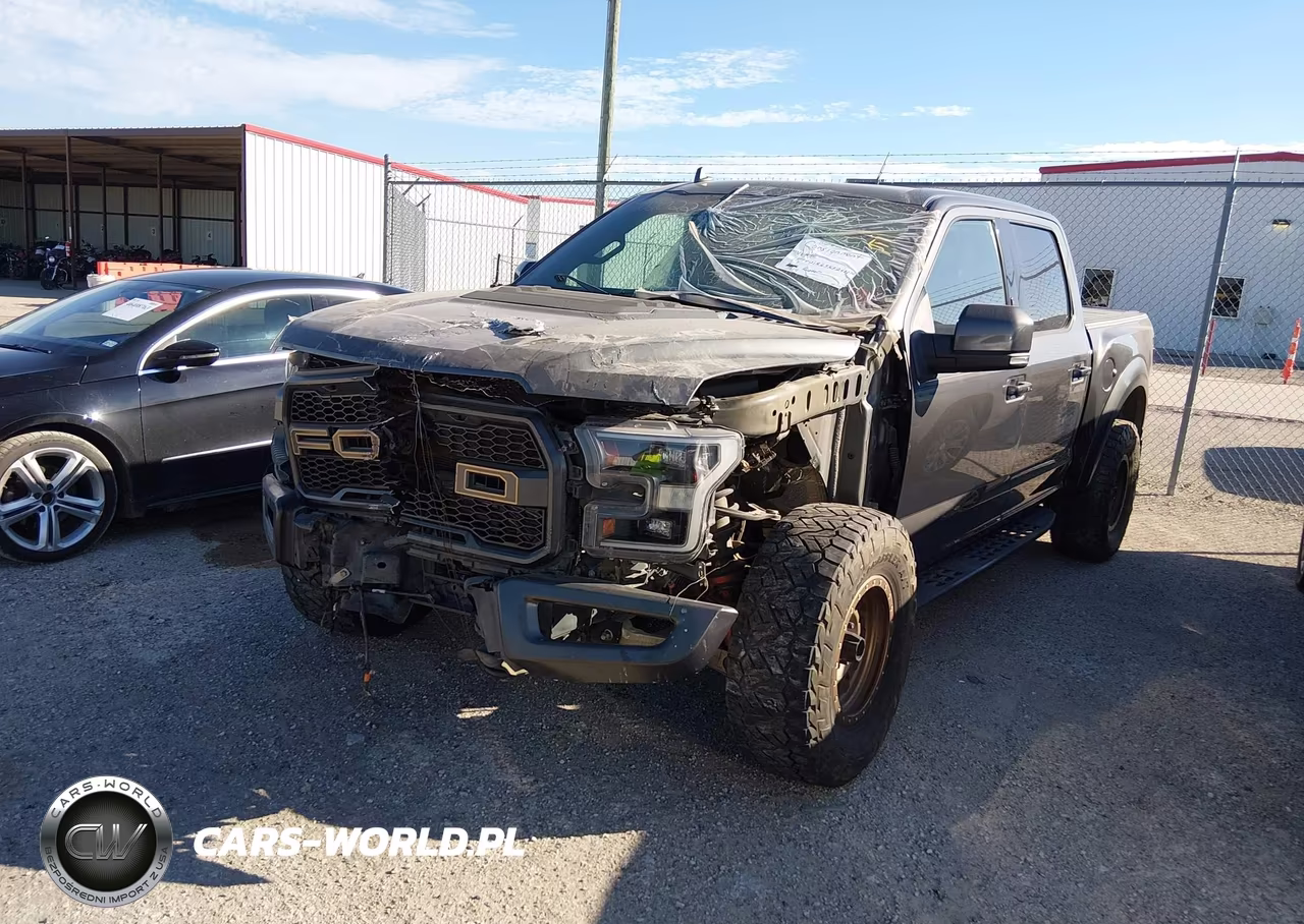 2019 Ford F-150 Raptor VIN:1FTFW1RG9KFB45830 - 6