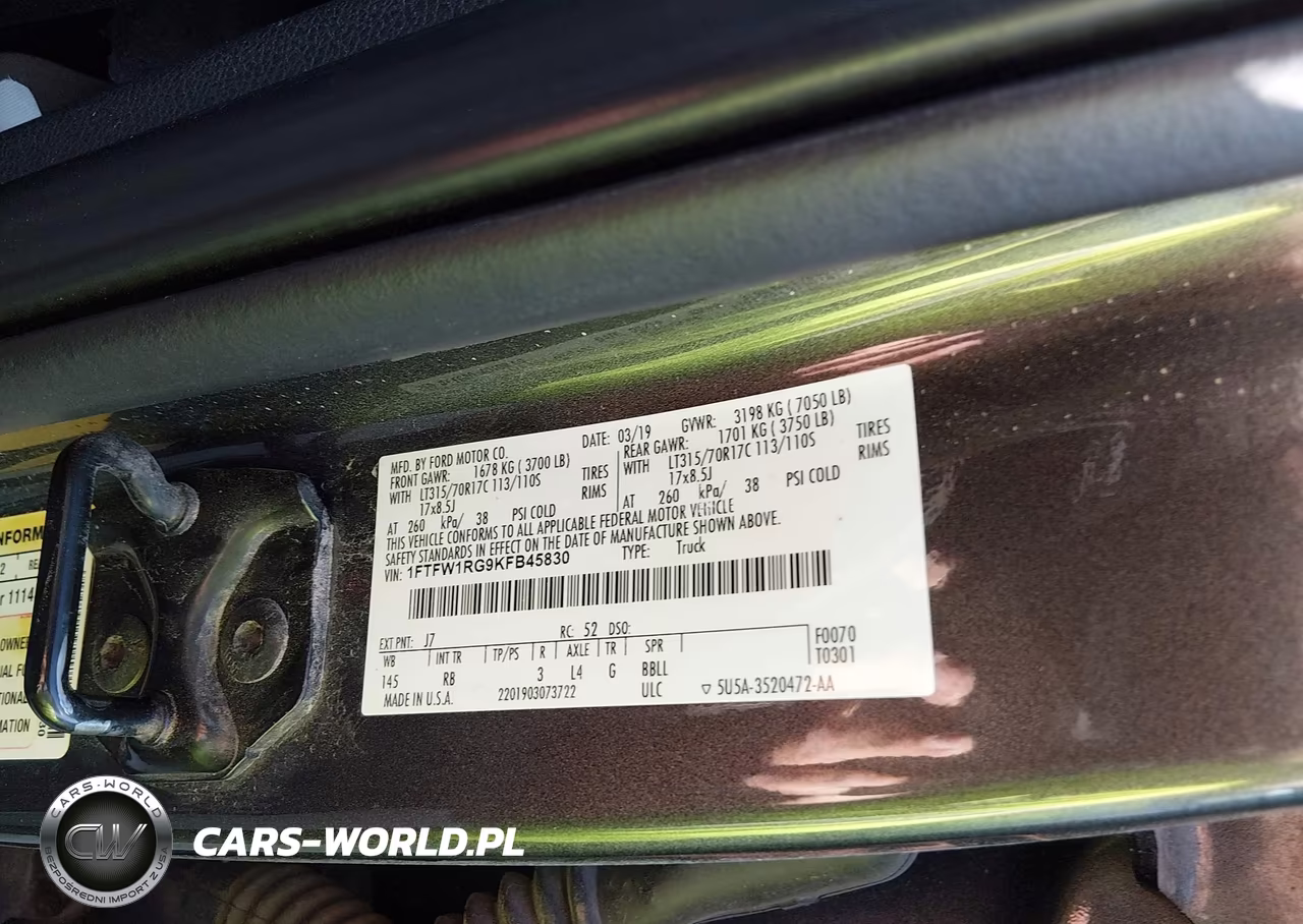 2019 Ford F-150 Raptor VIN:1FTFW1RG9KFB45830 - 9