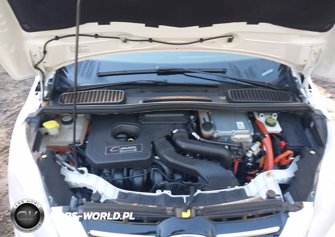 2013 Ford C-Max Energi Sel VIN:1FADP5CU8DL541820 - 10