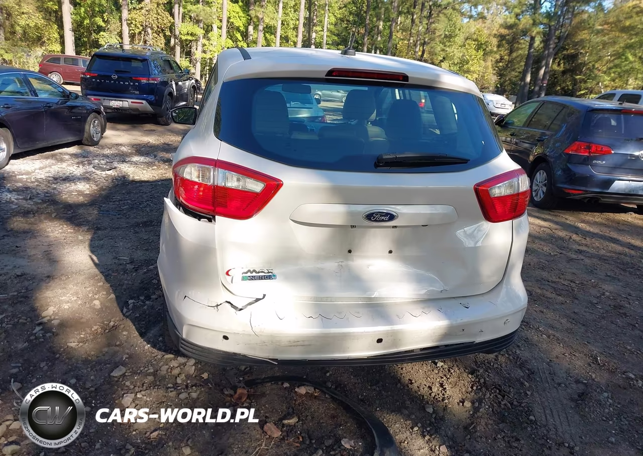 2013 Ford C-Max Energi Sel VIN:1FADP5CU8DL541820 - 6