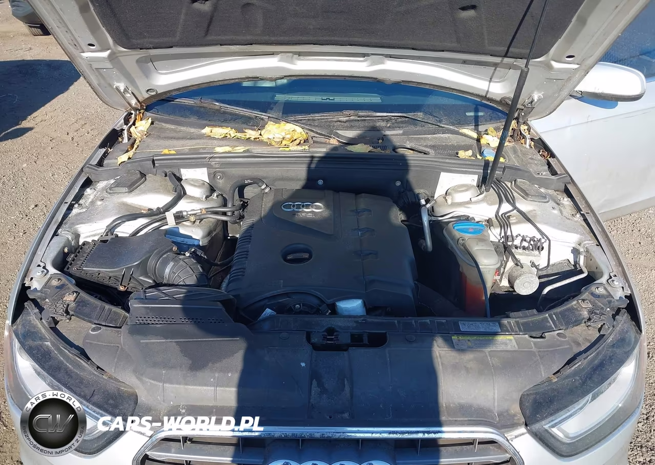 2013 Audi A4 2.0T Premium VIN:WAUFFAFL7DN026598 - 10