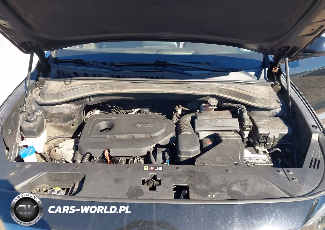 2019 Hyundai Santa Fe Sel VIN:5NMS3CAD2KH075028 - 10