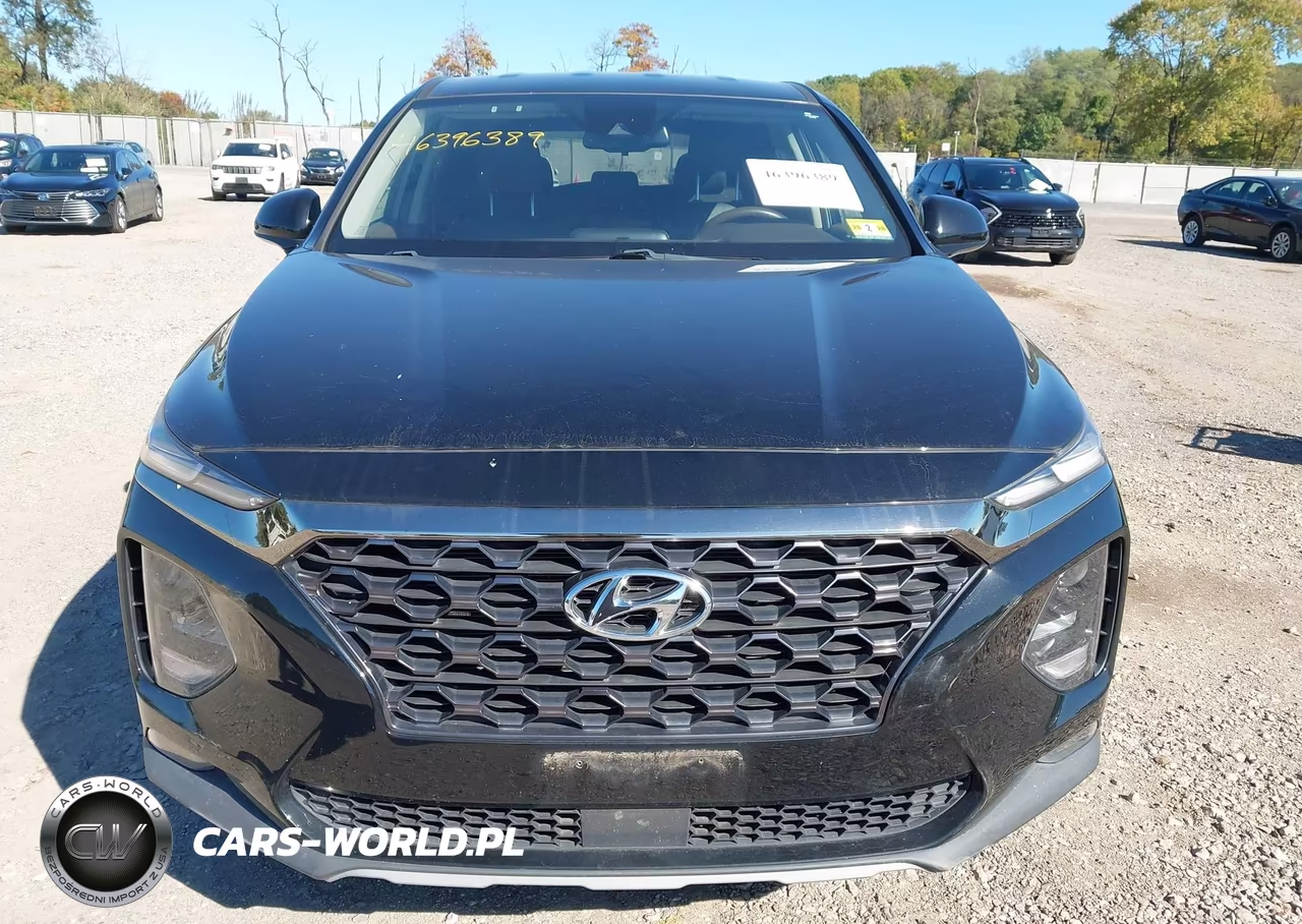 2019 Hyundai Santa Fe Sel VIN:5NMS3CAD2KH075028 - 6