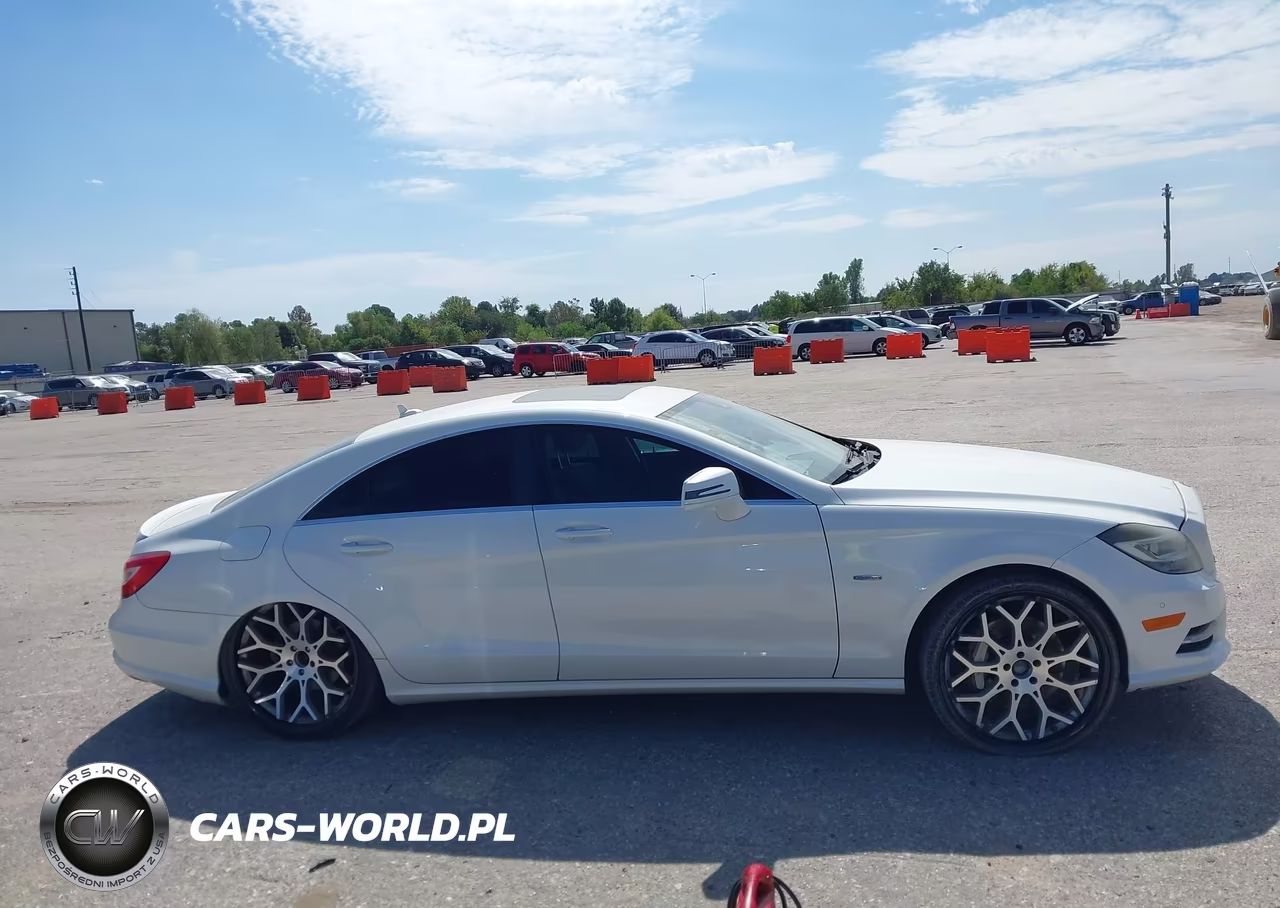 2012 Mercedes-Benz Cls 550 VIN:WDDLJ7DB1CA011303 - 13