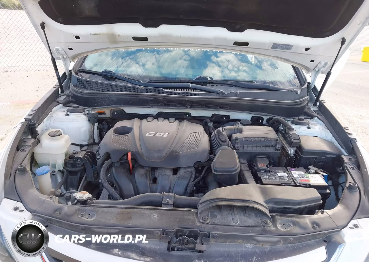 2014 Hyundai Sonata Gls VIN:5NPEB4AC9EH935348 - 10