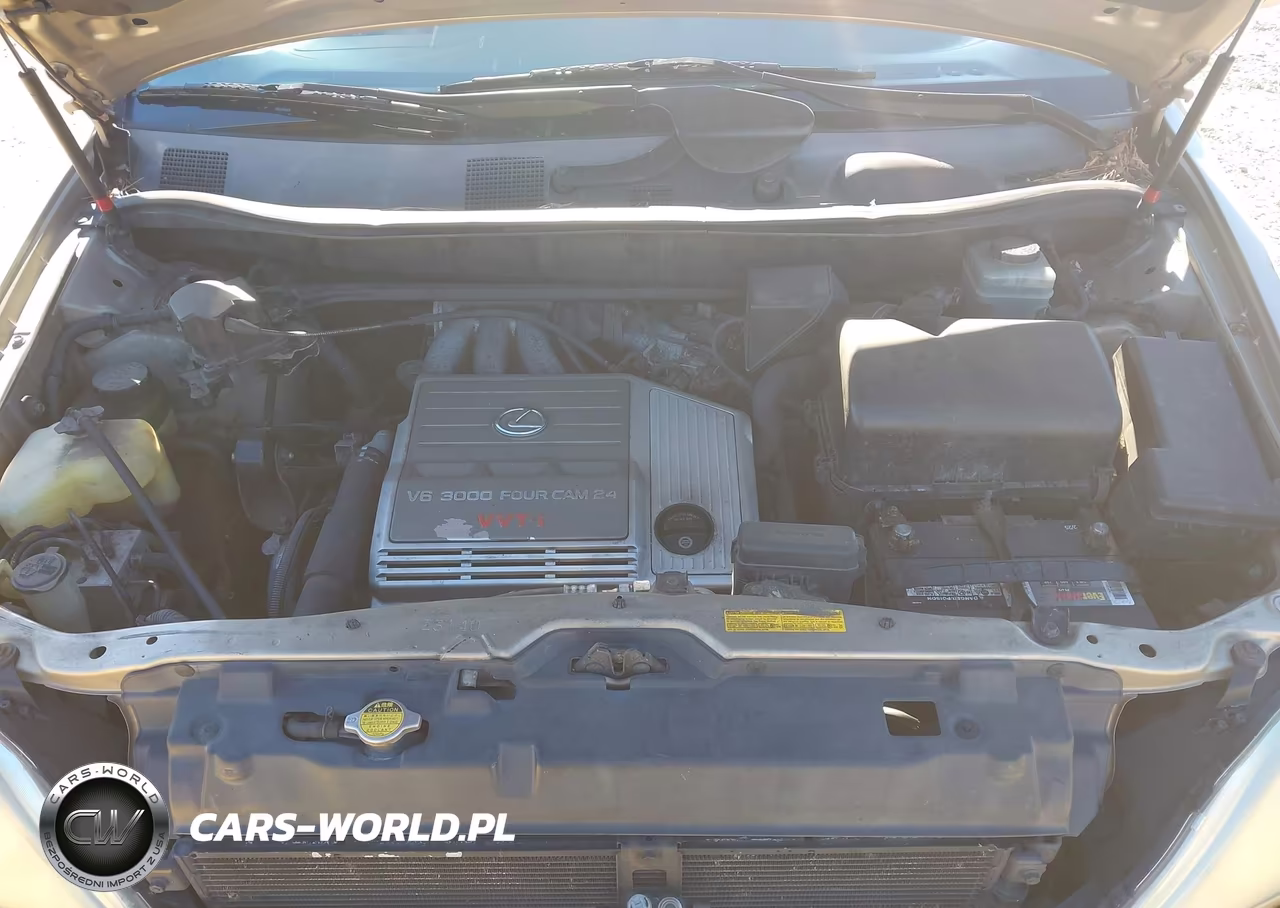 2002 Lexus Rx 300 VIN:JTJGF10U820134423 - 10