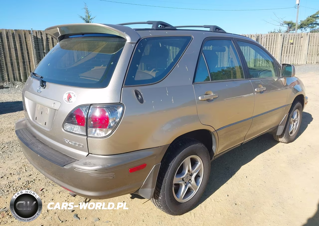 2002 Lexus Rx 300 VIN:JTJGF10U820134423 - 4