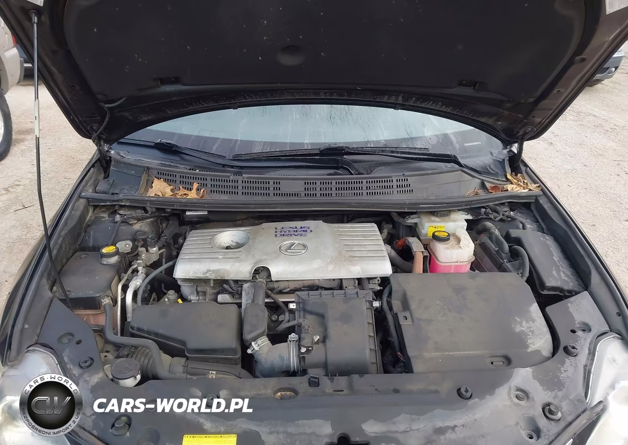 2013 Lexus Ct 200H VIN:JTHKD5BH6D2133481 - 10