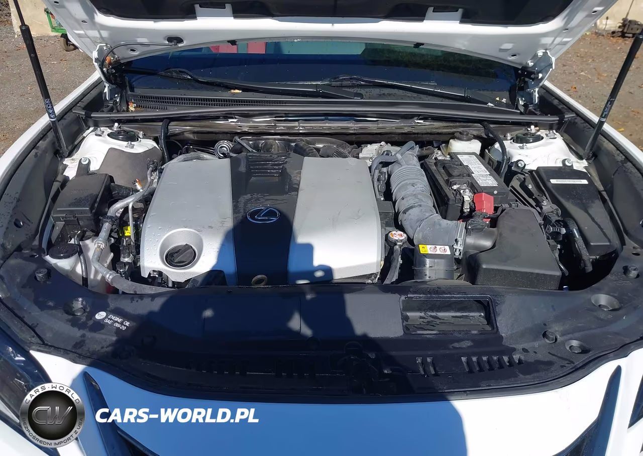 2024 Lexus Es 350 F Sport Handling VIN:58AJZ1B13RU162267 - 10
