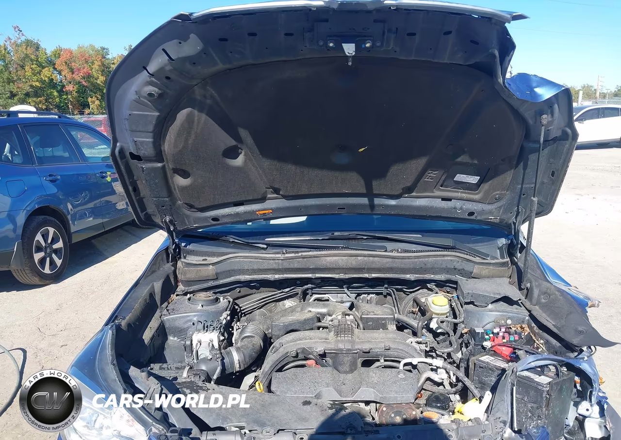 2018 Subaru Forester 2.5I Premium VIN:JF2SJAECXJH453173 - 10